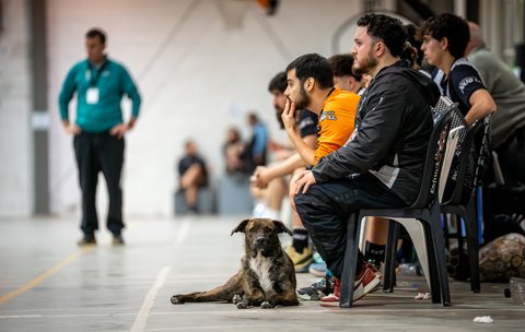 Handball